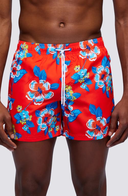 Sundek 7 Floral Boardshorts In Cheek