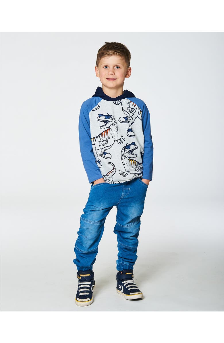 Deux par Deux Boy's Raglan Hooded T-Shirt Gray Mix And Blue, Alternate, color, 