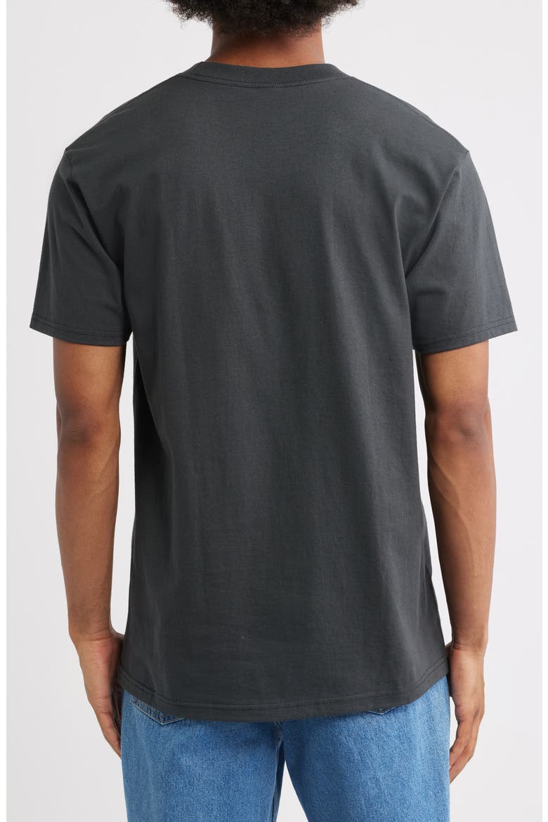Spider Graphic T-Shirt, Alternate, color, VINTAGE BLACK