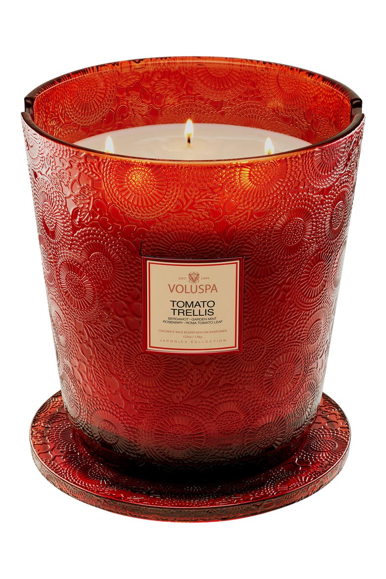 Tomato Trellis Five-Wick Hearth Candle, Main, color, TOMATO TRELLIS