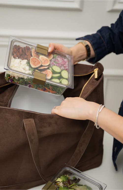 Modern Picnic The Mini Luncher In Brown