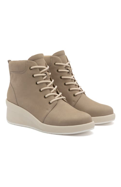 Abeo Passage Lace Up Boot In Beige - Regular
