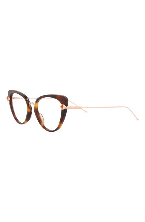 Pomellato Novelty 50mm Cat Eye Optical Glasses In Havana Gold Transparent