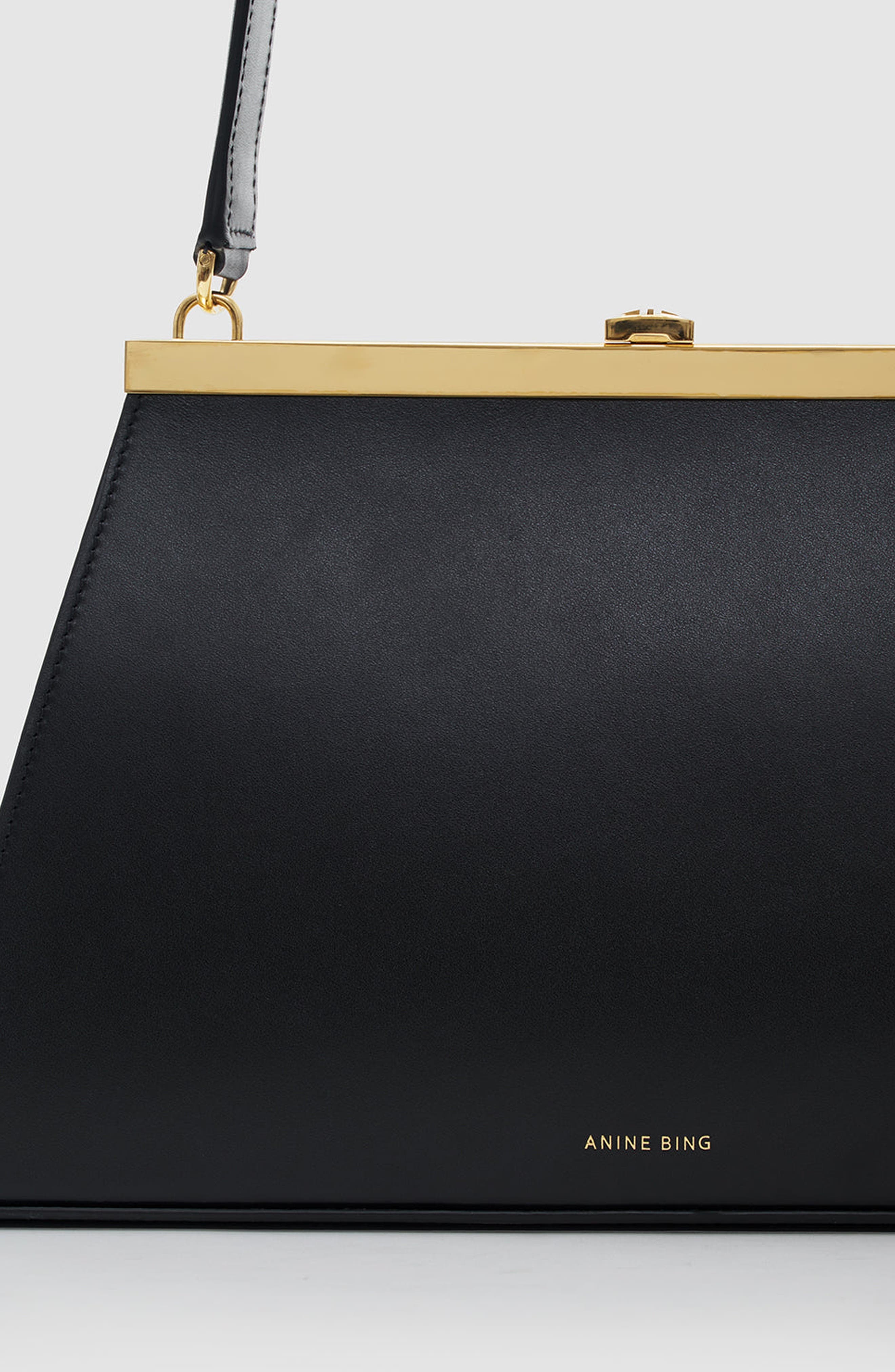 Anine Smooth Leather Bag, Alternate, color, Black