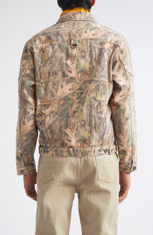 Phipps Standard Cotton Stud Jacket In Brown