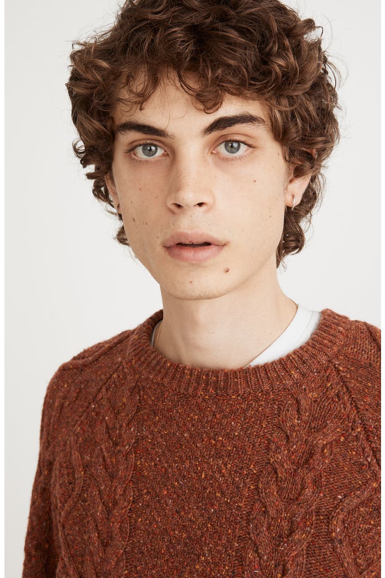 Donegal Cable Knit Fisherman Sweater, Alternate, color, WARM SEPIA DONEGAL