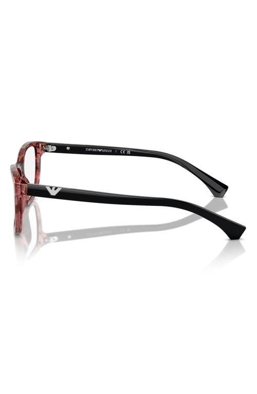 Emporio Armani 54mm Cat Eye Reading Glasses In Brown