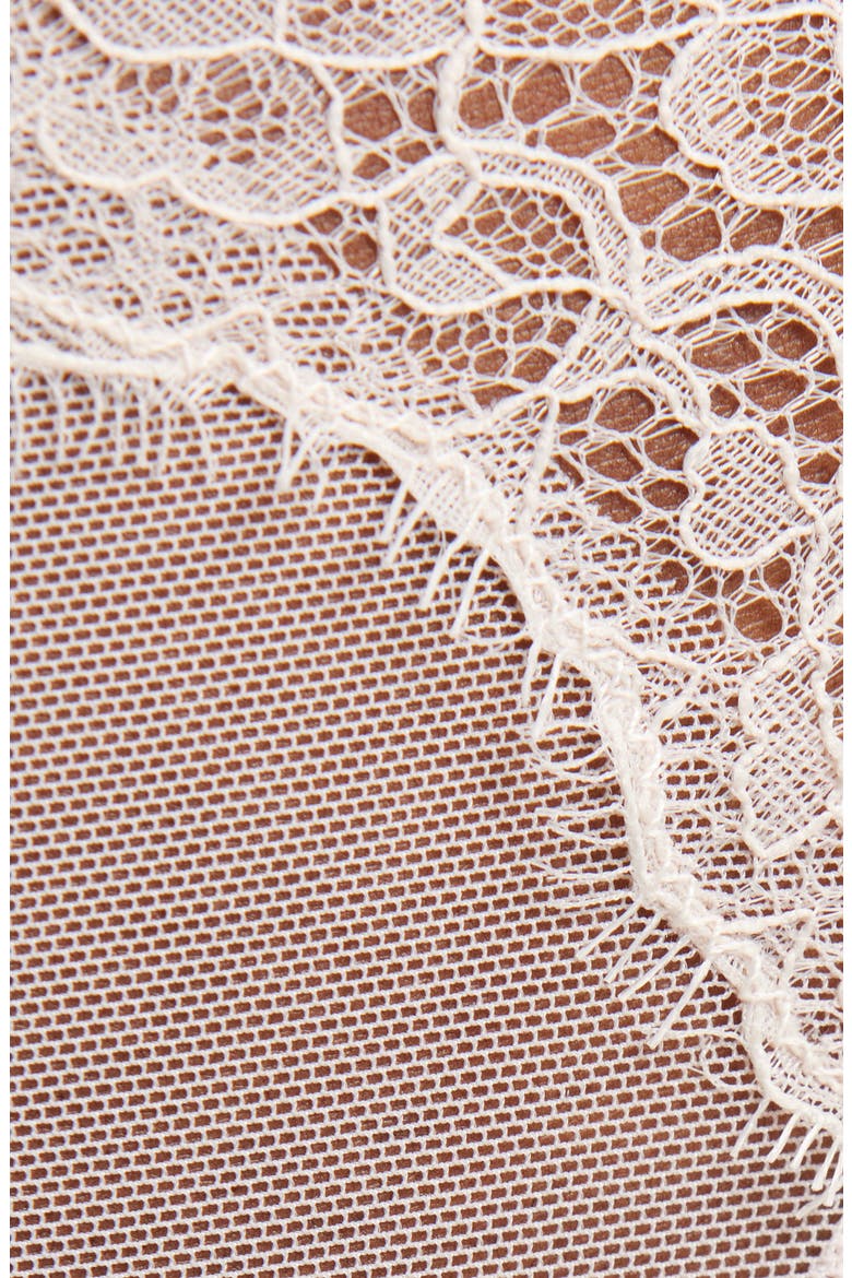 Chiara Mesh Bikini Briefs, Alternate, color, PETAL
