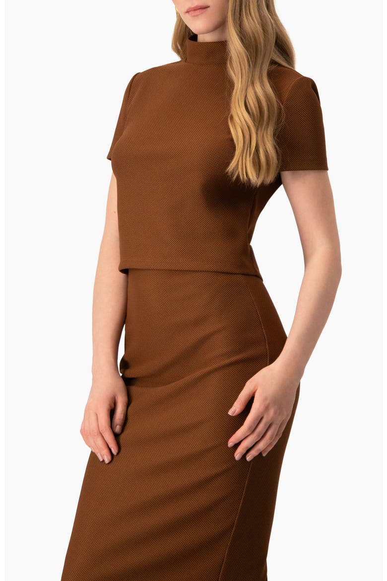 High-Neck Short Sleeve Cropped Top, Alternate, color, Light Brown