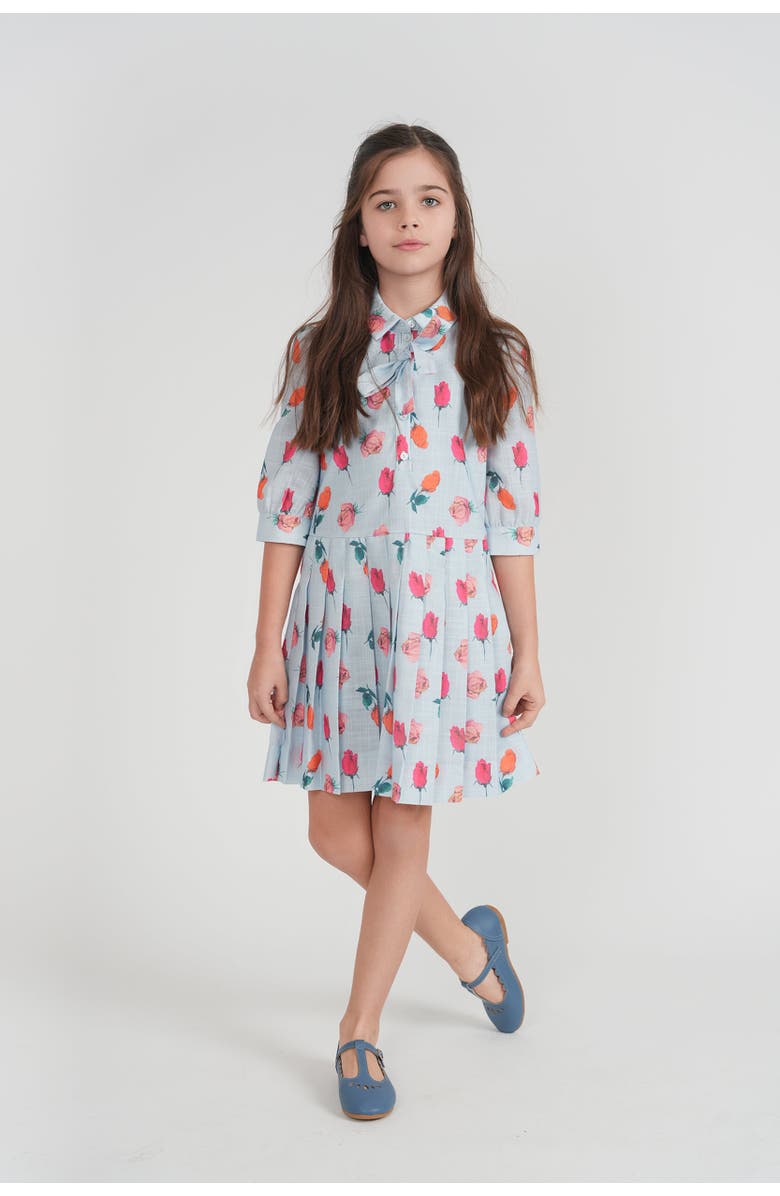Joie De Vivre Rose Pleated Button Front Loose Fit Dress, Alternate, color, Blue