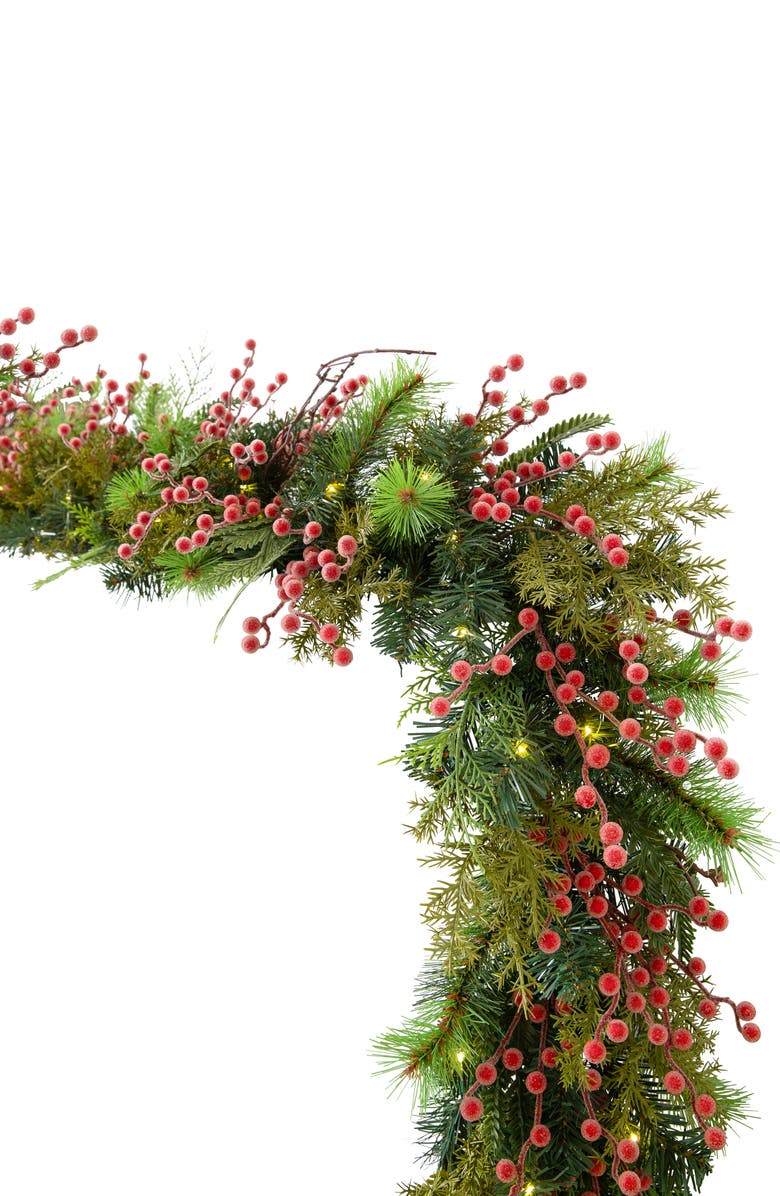 Balsam Hill Sugared Berry Forest 10-Foot Artificial LED Light Garland, Main, color, 