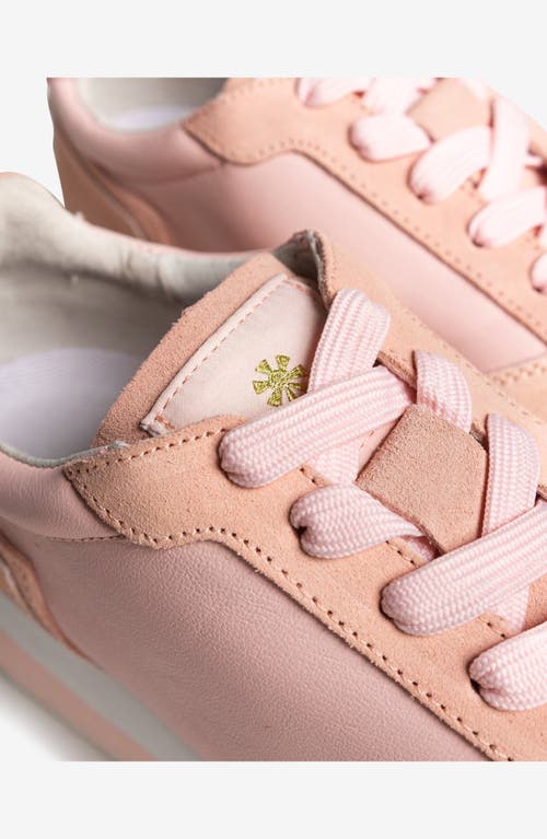 Freshy Smoove Trainer Fresh Sneaker In Pink