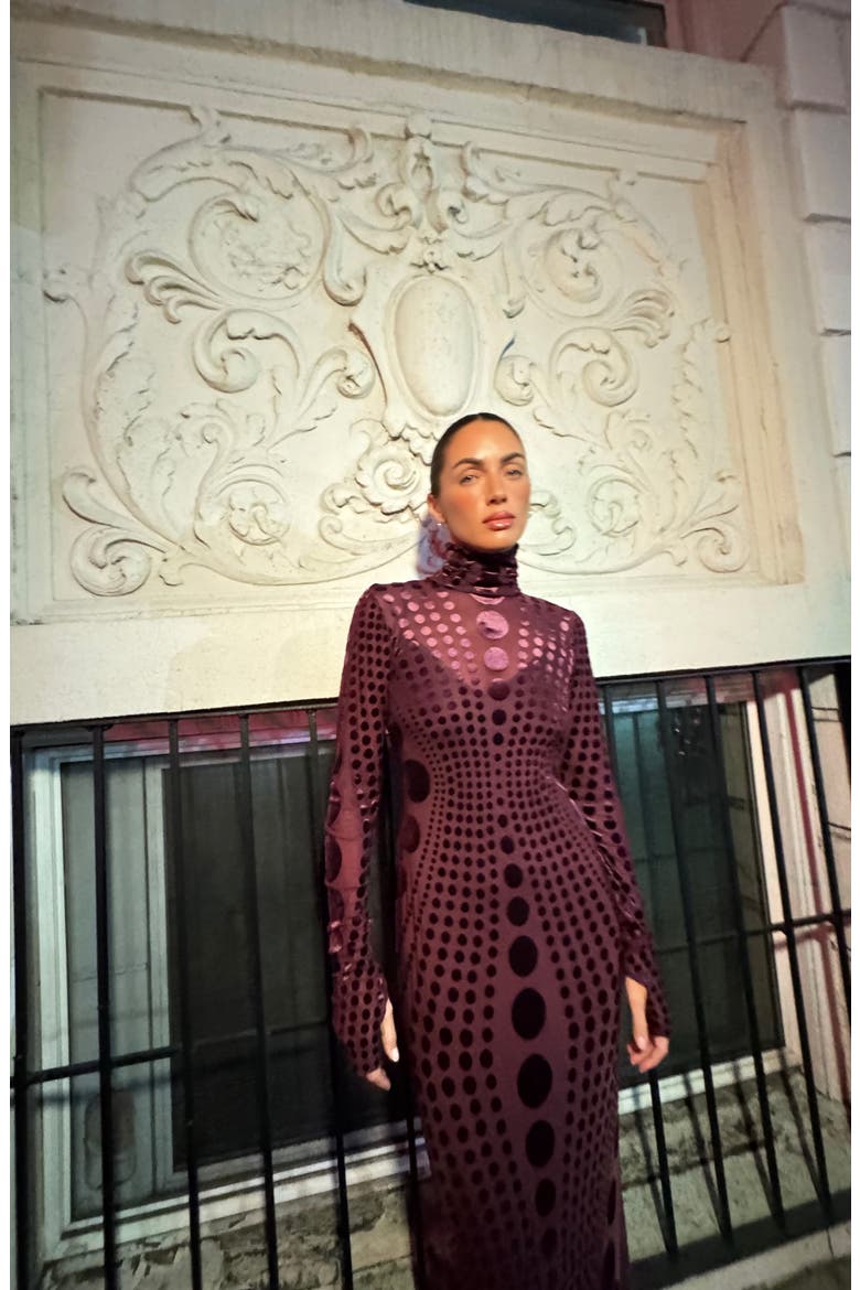 Shailene Long Sleeve Burnout Velvet Dress, Alternate, color, CABERNET TONAL DOT