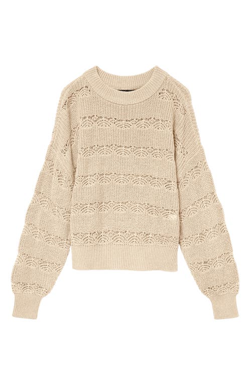 Vero Moda Lona Pointelle Cotton Blend Crop Sweater In Brown