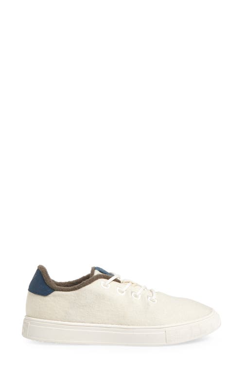 Shop Yy Nation Cirro Wool Blend Water Resistant Low Top Sneaker In Off White/white