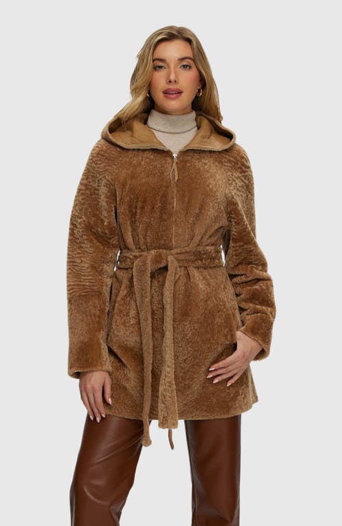Gorski Reversible Textured Shearling Lamb Parka In Brown