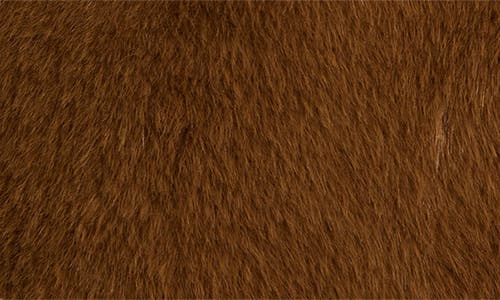 Sam Edelman Faux Fur Jacket In Brown