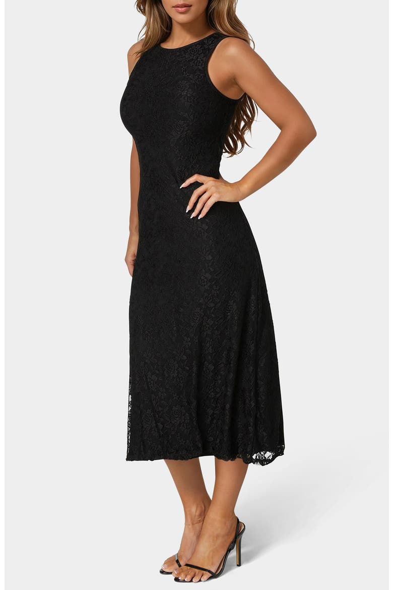 Sleeveless Lace A-Line Midi Dress, Alternate, color, BLACK