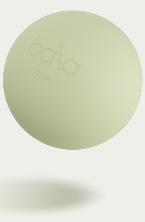 The Power Ball Weighted Fitness Ball