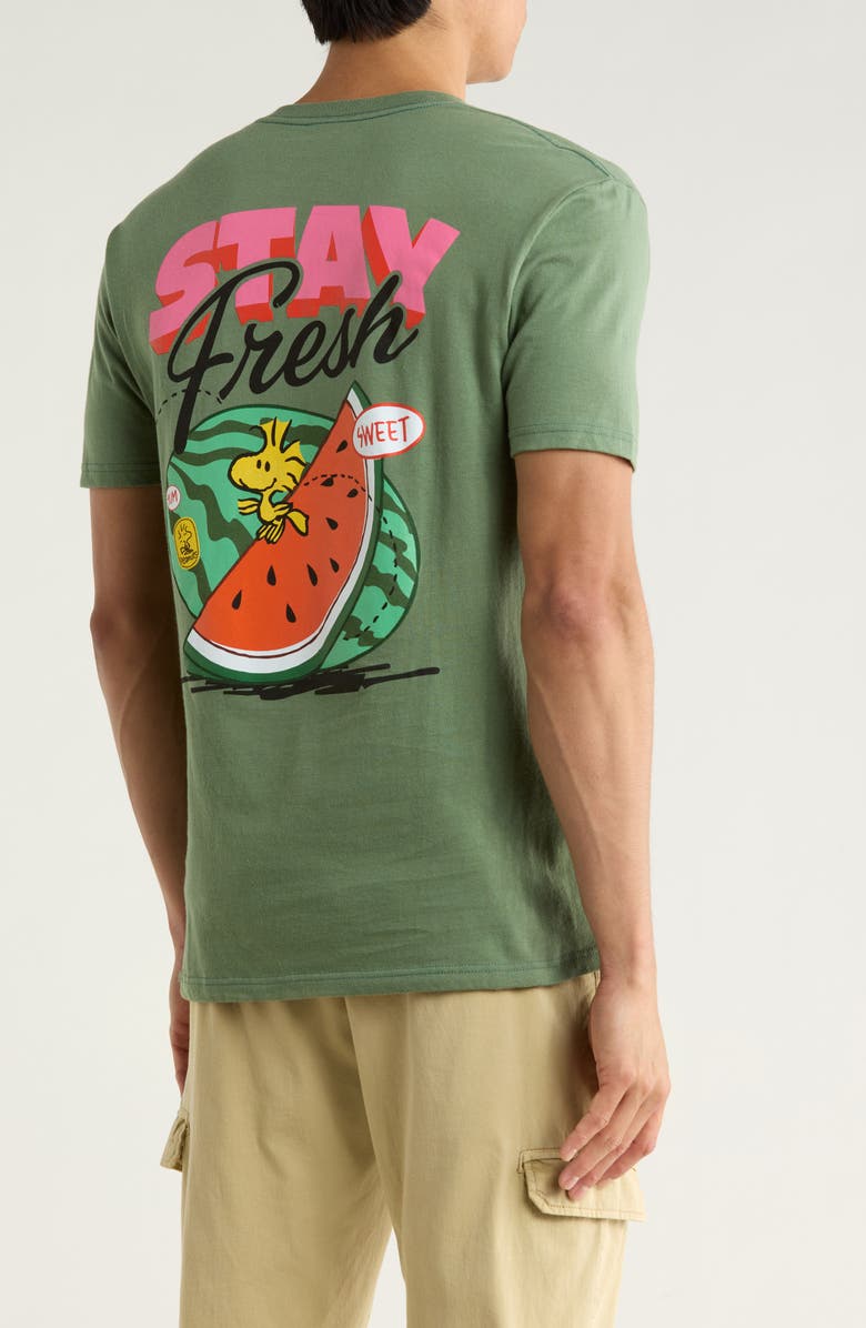 The Forecast Agency Stay Fresh Crewneck T-Shirt, Alternate, color, Green