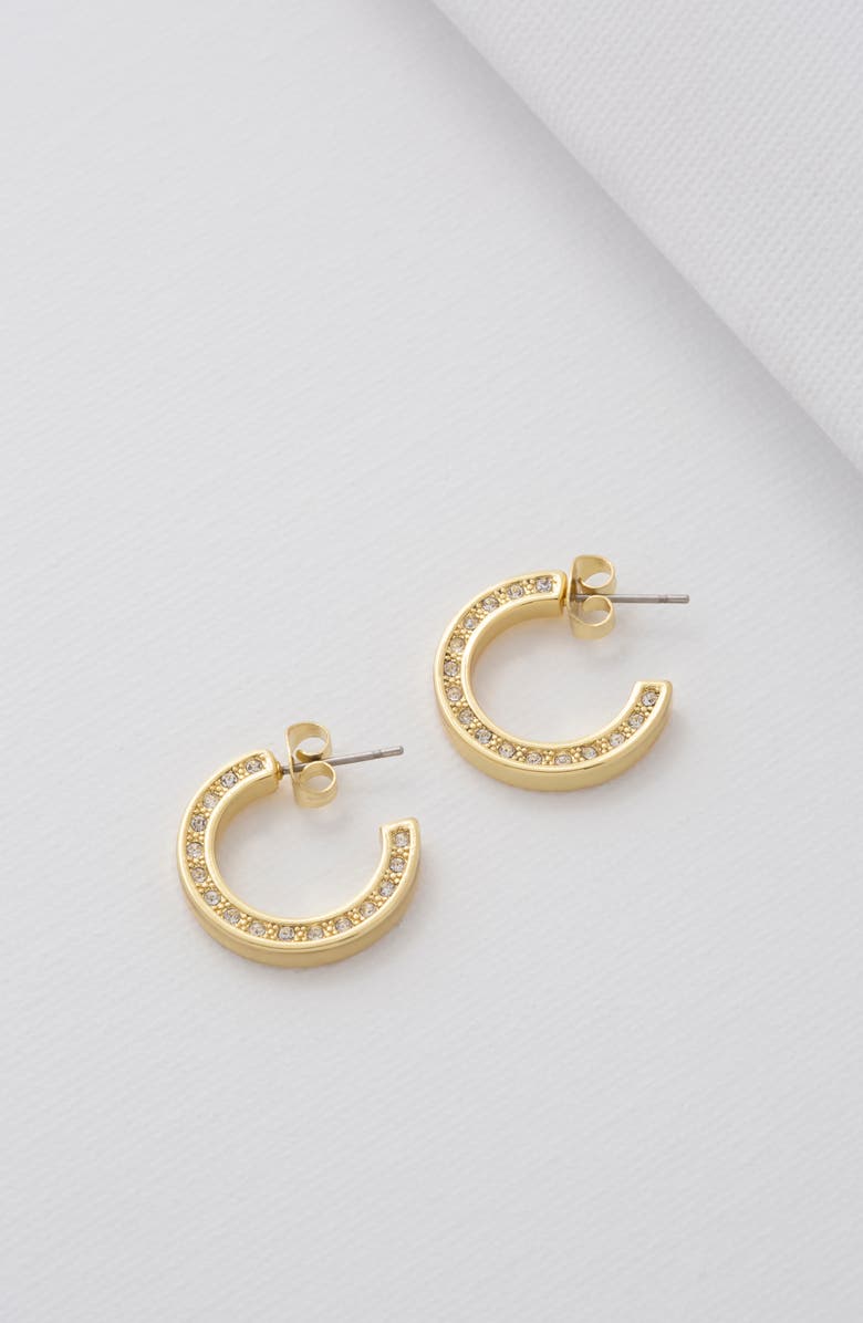 Ted Baker London Senatta Reversible Crystal Hoop Earrings, Alternate, color, 