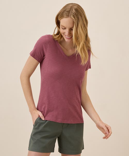 Pact Organic Cotton Featherweight Slub V-neck Tee In Mauve