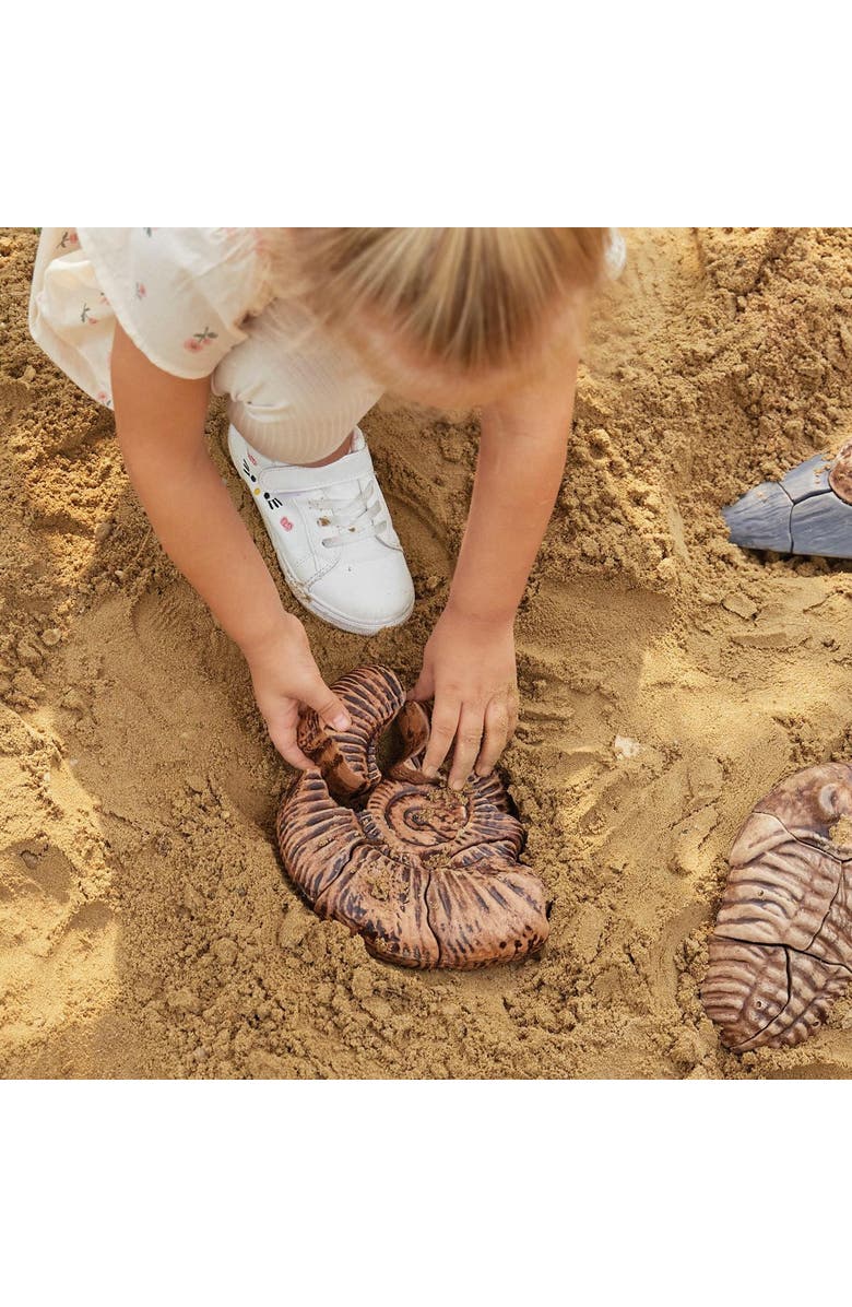 Kaplan Early Learning Company Magnetic Fossil 3D Puzzle - Ammonite - 6 Pieces, Alternate, color, Brown
