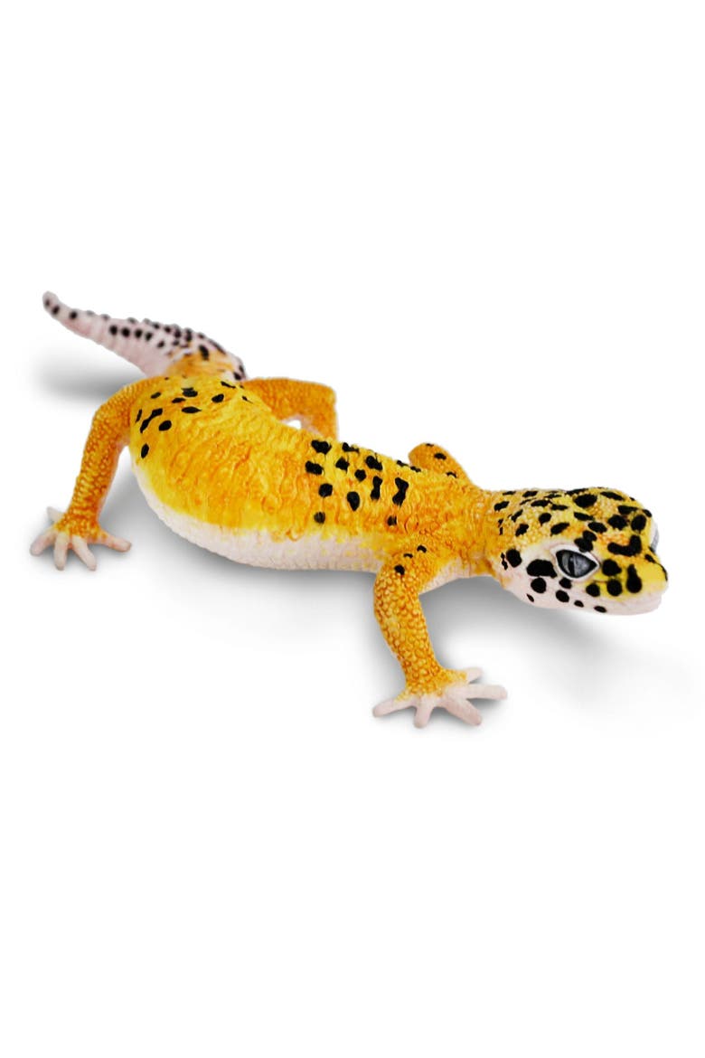 Leopard Gecko Toy, Alternate, color, No Color
