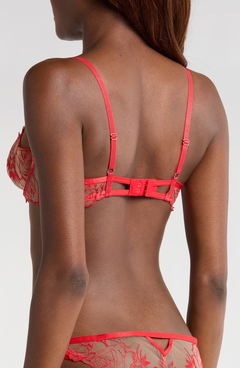 Bluebella Rosalie Embroidered Mesh Underwire Bra, Alternate, color, Red/ Sheer