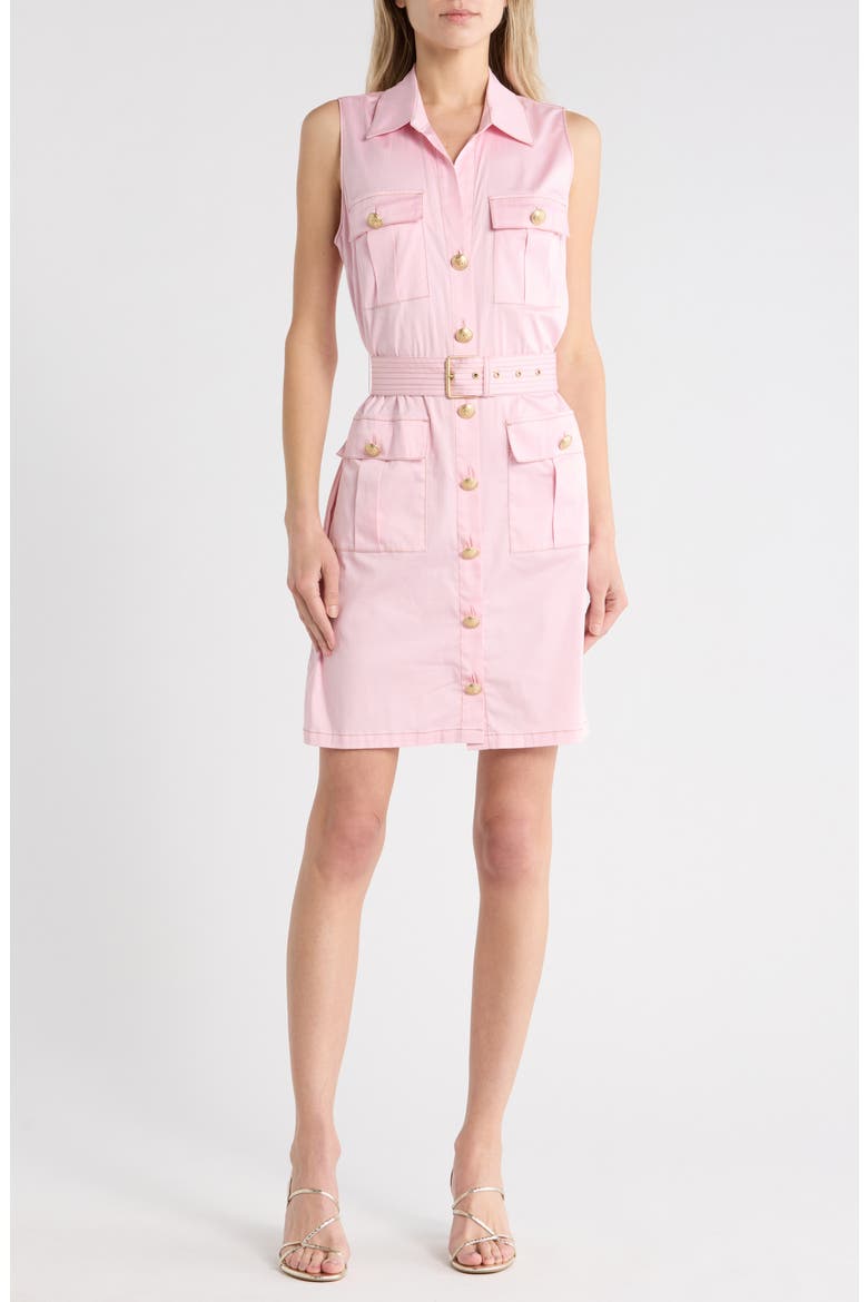 noam poplin shirt dress L'AGENCE Noam Poplin Shirt Dress In Blush
