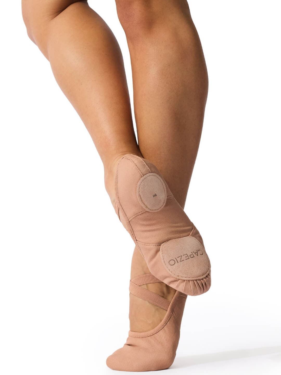 Hanami® Canvas Ballet Shoe | Light Suntan, Alternate, color, beige
