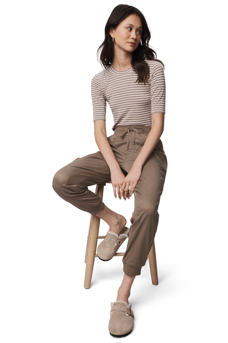 Jaclyn Drawstring Waist Joggers, Alternate, color, CEDAR BROWN