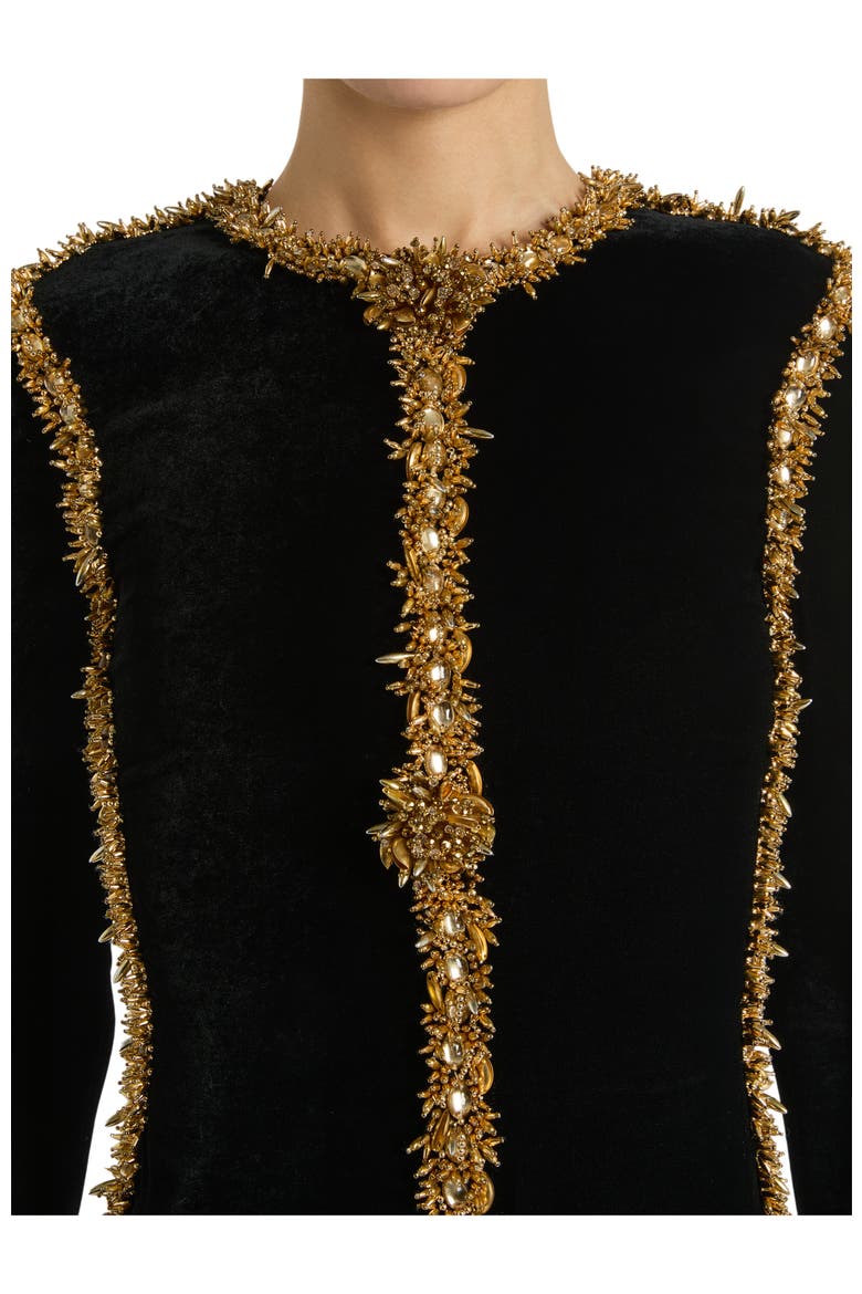 Long Velvet Dress with Embroidered Trim, Alternate, color, black