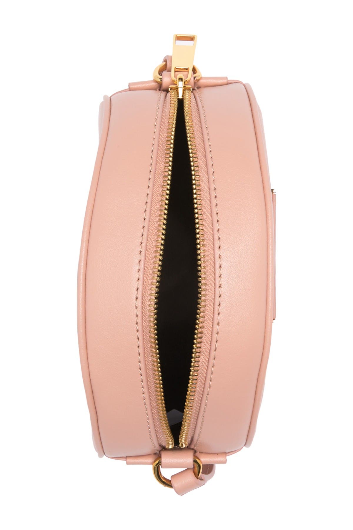 Voyager Circle Crossbody Bag, Alternate, color, BALLET