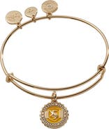 Alex and Ani Harry Potter™ Hufflepuff House Charm Bangle Bracelet