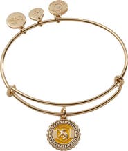 Alex and Ani Harry Potter™ Hufflepuff House Charm Bangle Bracelet