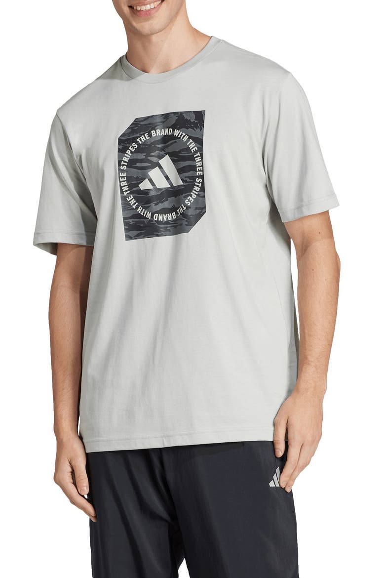 Camo Graphic T-Shirt, Main, color, WONDER SILVER
