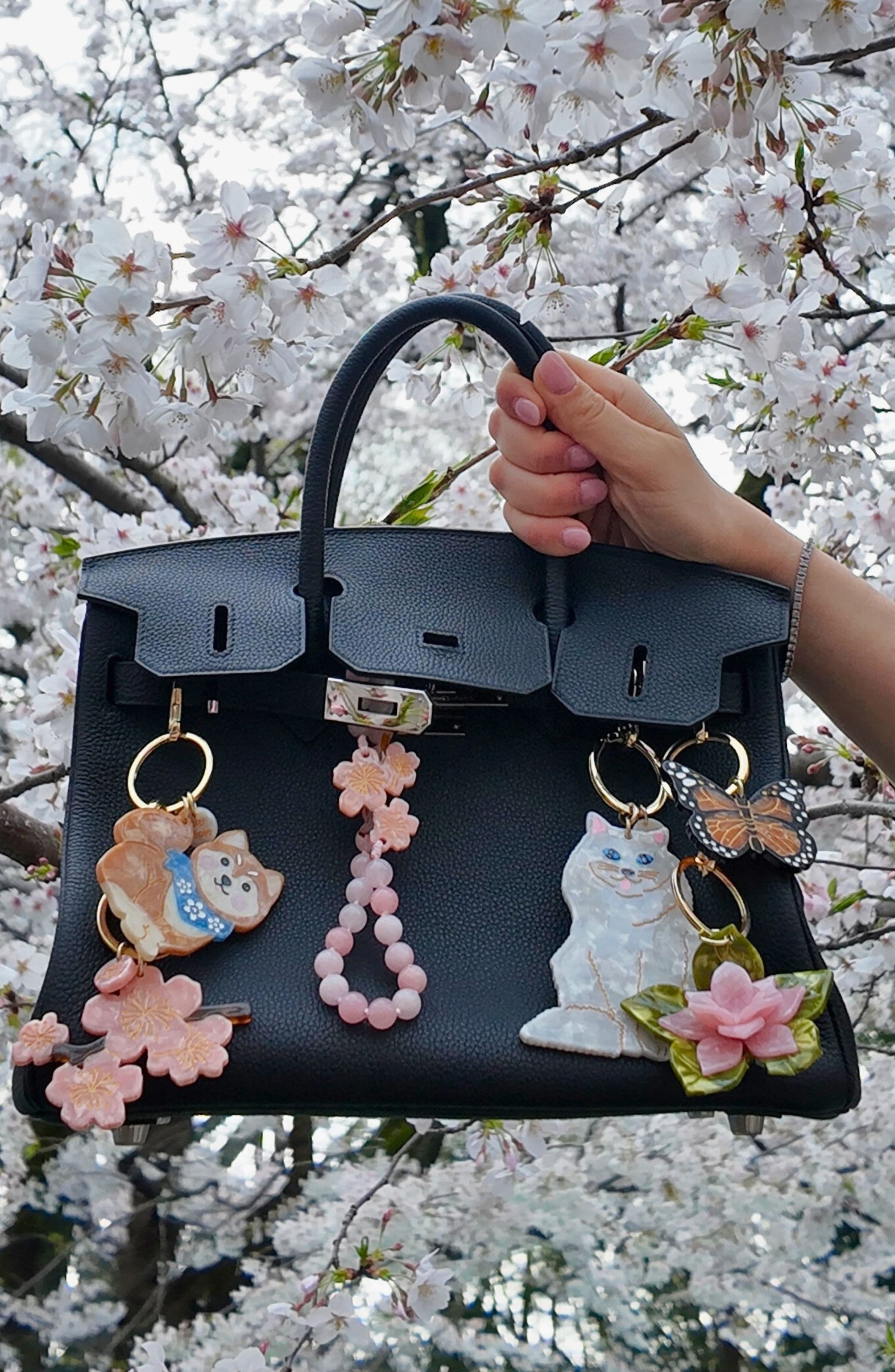 Solar Eclipse Hand Painted Lucky Dog Key Chain Bag Charm, Alternate, color, Brown