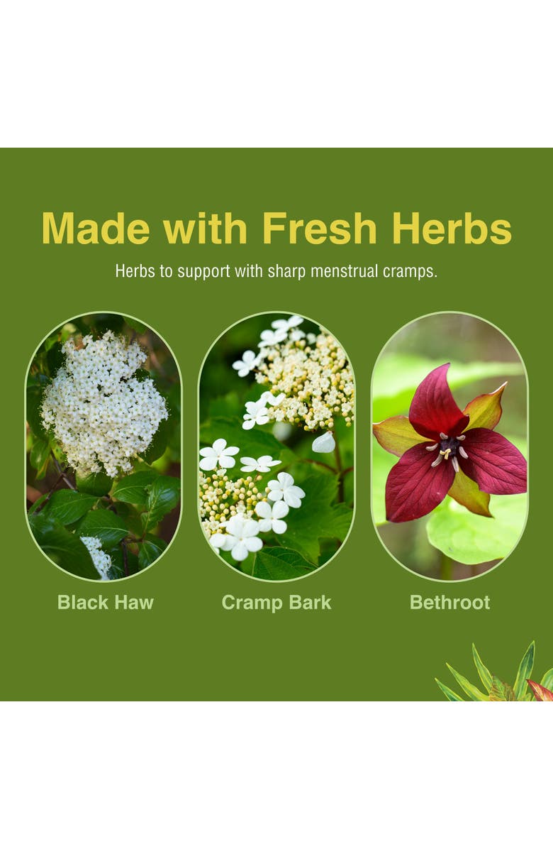 Herbs Etc. Cramp ReLeaf Menstrual Support Softgels, 60 Count, Alternate, color, NO COLOR