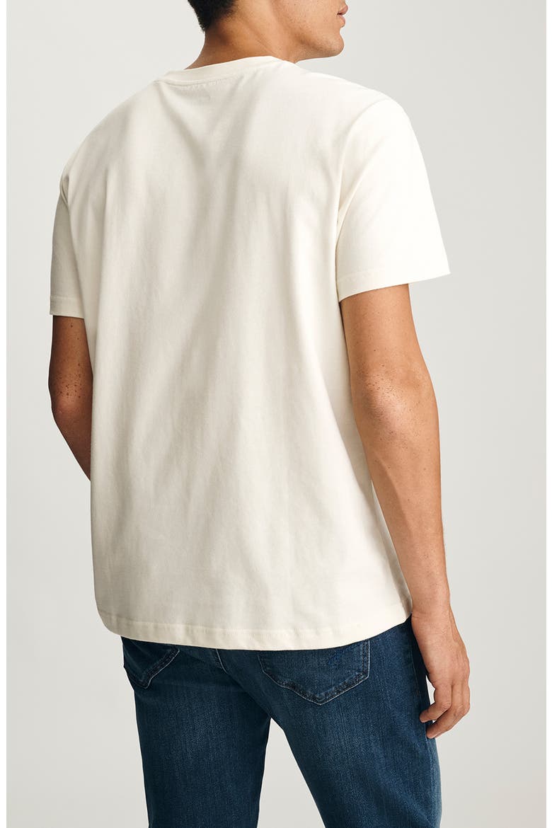 Classic Fit Cotton T-Shirt, Alternate, color, TURTLEDOVE