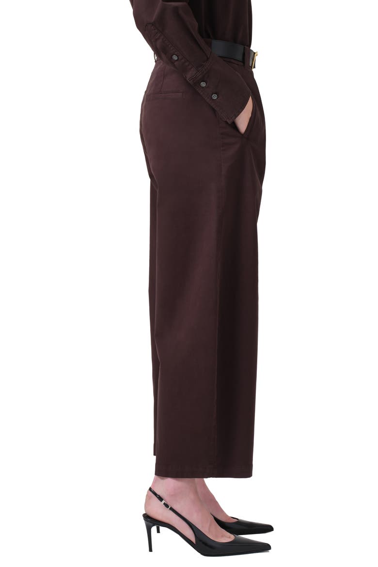 Cara Pleated High Waist Crop Pants, Alternate, color, CLOVE