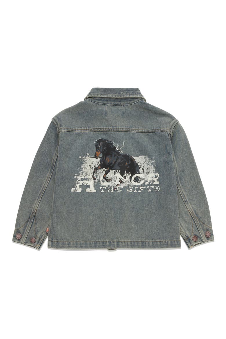 Kids' Stallion Chore Jacket, Alternate, color, LIGHT INDIGO