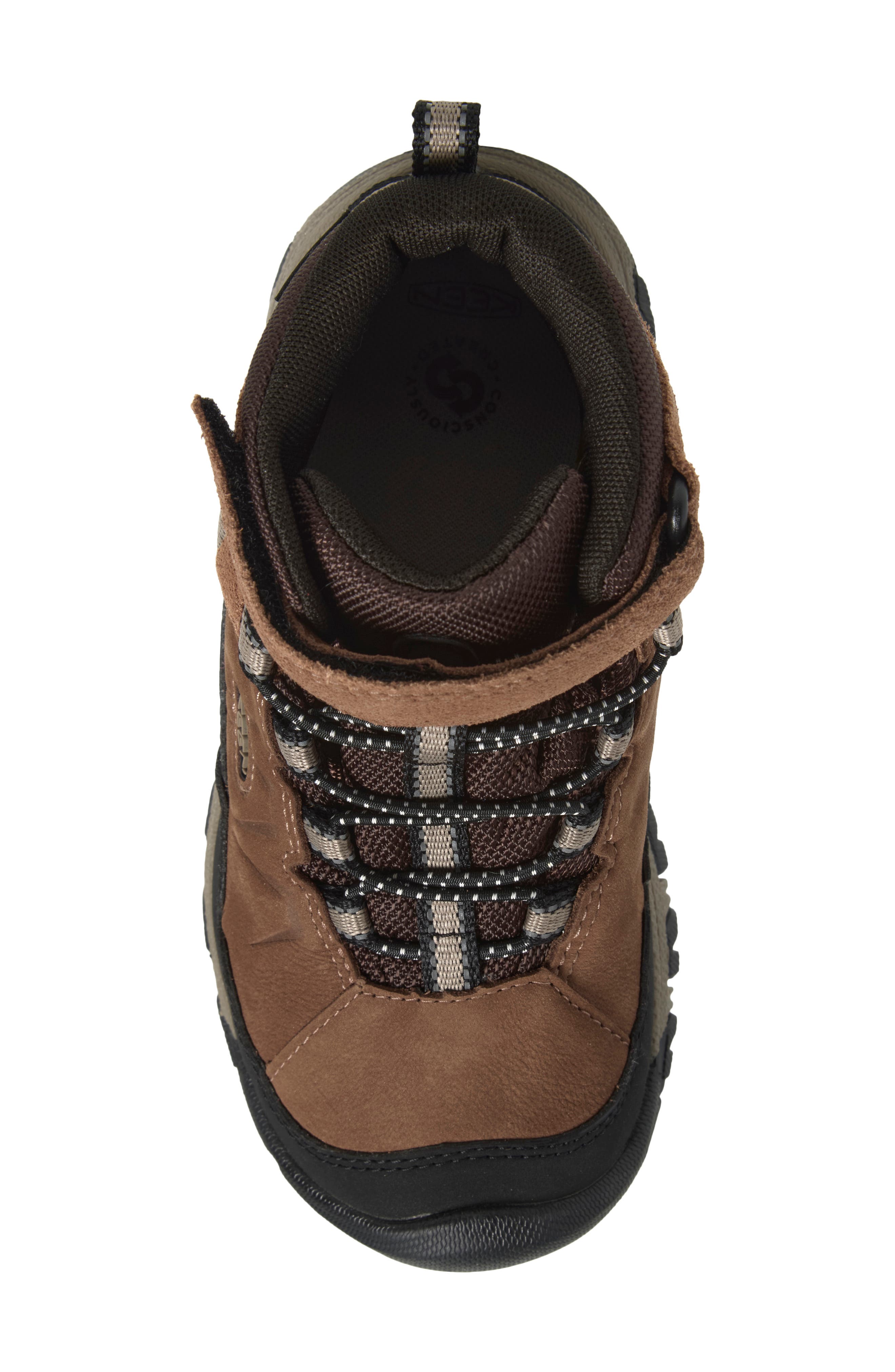 Kids' Targhee IV Waterproof Hiking Shoe, Alternate, color, BISON/BRINDLE