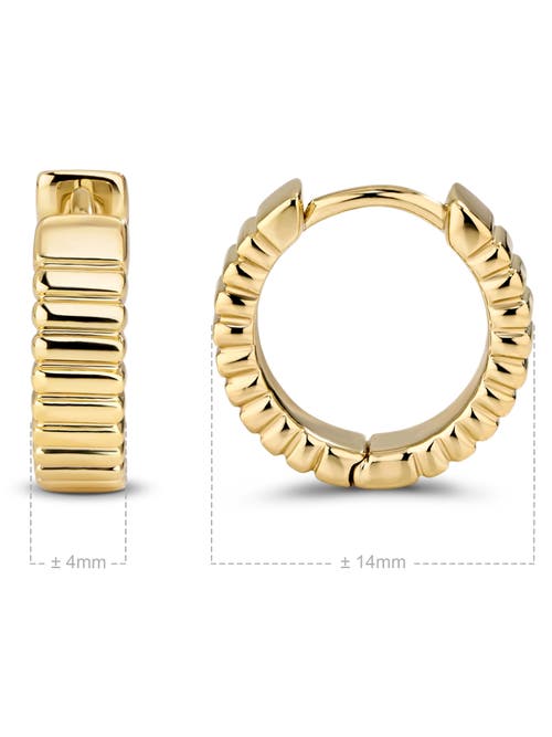 Devata Ribbed Hoop Earrings In Gold