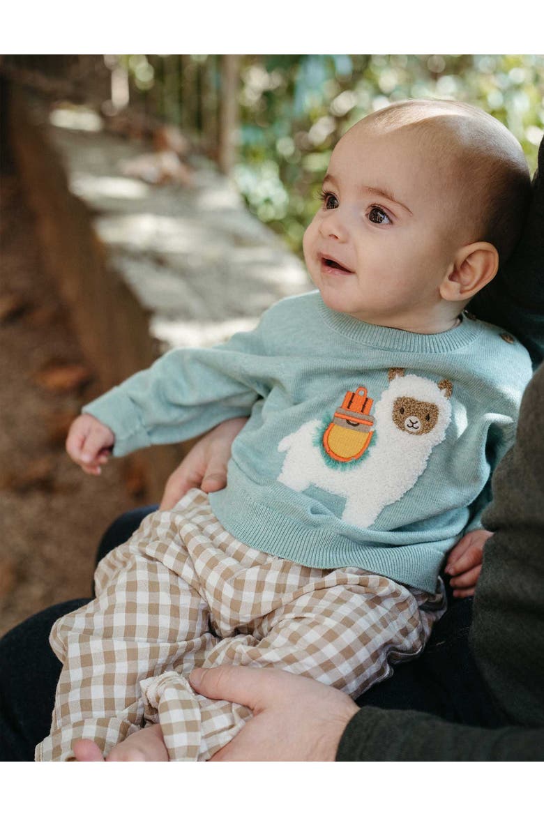 Llama Knit Sweater, Alternate, color, Aloe Melange