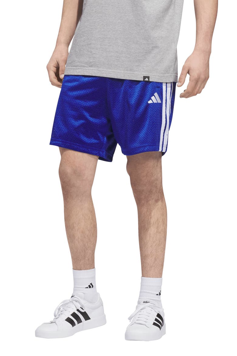 Stadium Mesh Shorts, Main, color, TEAM ROYAL BLUE
