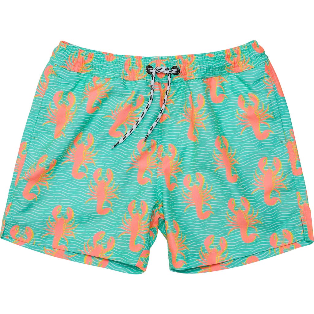 Snapper Rock Boys' Ocean Clawed Swim Short - Little Kid, Big Kid In Green