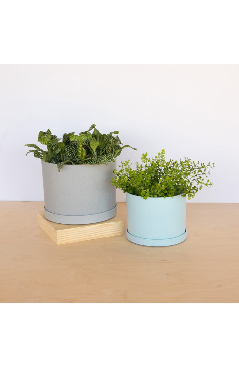 Bloem Mathers 6.5 W x 8.5 H Inch Round Gardening Planter with Saucer Tray, Cement, Alternate, color, Gray