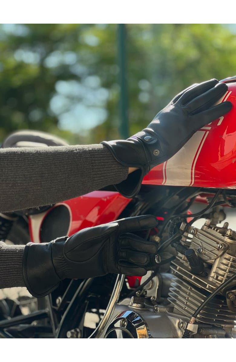 Agnelle Hooper Alpaca Lined Goat Leather Gloves, Alternate, color, Tnoir