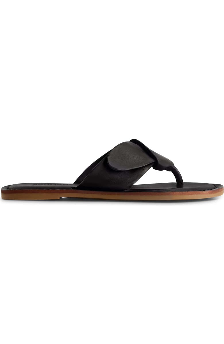 Bernardo Footwear Laia Thong Sandal, Main, color,